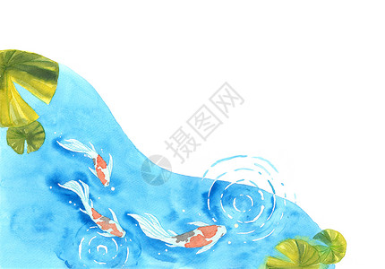 锦鲤手绘池塘中美丽而色彩鲜艳的锦鲤鱼的框架 用于墙纸 封面 模板 明信片 海报装饰的水彩手绘 好运和繁荣的象征 日本 海浪背景