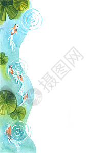 锦鲤手绘科伊鱼在水中游 利里产水 彩色手绘模板背景和文字空间背景