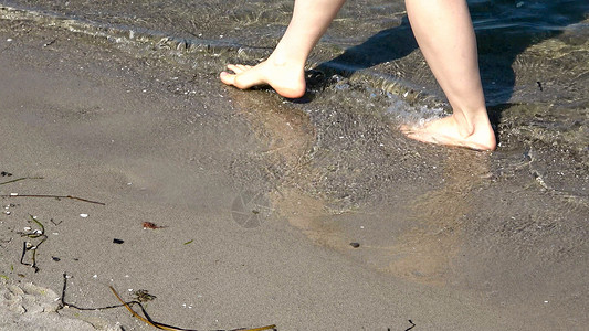 年轻女性在浅水中走在黄海上b 放松 晴天 天堂海岸高清图片素材