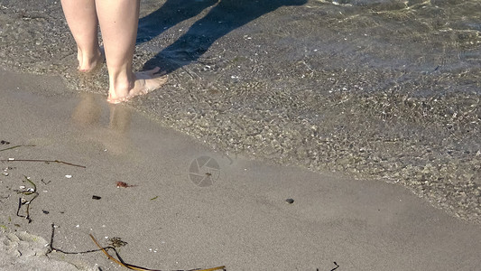 年轻女性在浅水中走在黄海上b 旅游 爱宁静高清图片素材