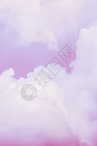 幻想和梦幻粉红天空 精神和自然背景 冬青 高的背景图片