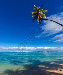 斐济的美丽照片 爱旅行 斐济水 游记 斐济语 旅游博主 旅行图背景图片