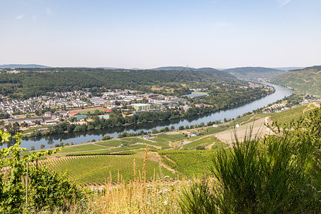 附近Moselle河谷的风景 葡萄酒 自行车 德国高清图片