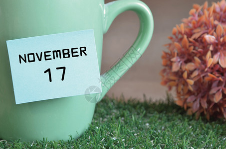 11月24日11月17日 周年纪念日 草 礼物 2022年 生日 覆盖背景