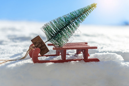 小雪橇红色雪橇 带着一棵小圣诞树 季节 假期背景