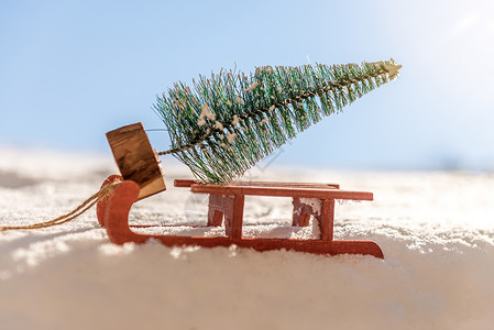 小雪橇红色雪橇 带着一棵小圣诞树 问候语 展示 磁带 礼物背景