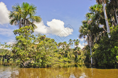亚马逊流域 桑多瓦尔湖 坦博帕塔国家保护区 秘鲁 南美洲 天空 雨林云高清图片素材