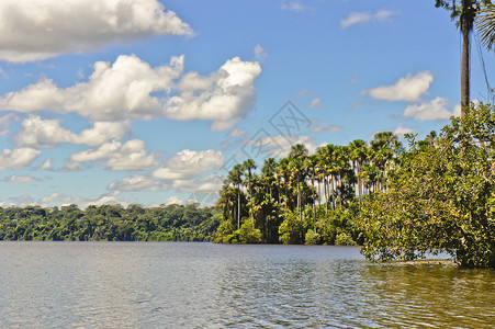 亚马逊流域 桑多瓦尔湖 坦博帕塔国家保护区 秘鲁 南美洲 国家公园 反射天空高清图片素材