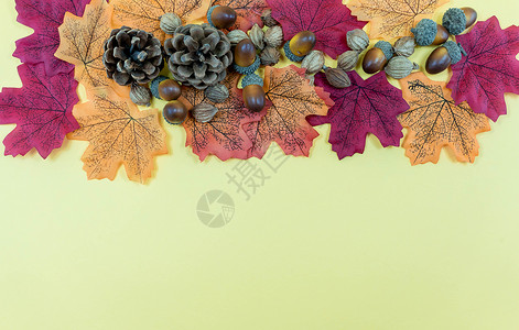 秋天落叶在地上的无缝图案 秋叶概念与副本 spac 潮人 花背景图片