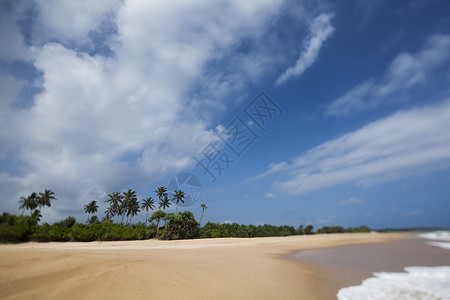 斯里兰卡 热带海滩的美丽景色斯里兰卡 太阳背景图片