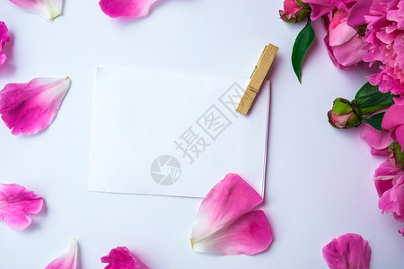 gif花素材白色背景上明亮的粉红色牡丹 夏季插花 贺卡的背景与纸币 复制空间 假期生日情人节的概念gif 花的 美丽的背景