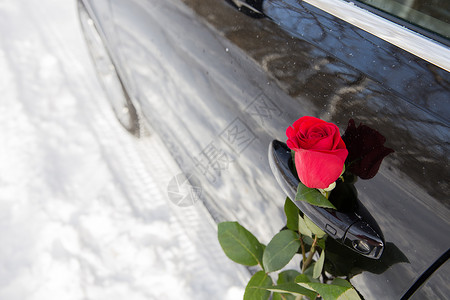 红玫瑰 仪式 花 冬天 问候语 情人节 婚姻 婚礼 假期背景图片