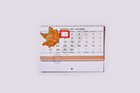 9月2021日 每月日历和秋假 秋月 落叶 工作背景图片