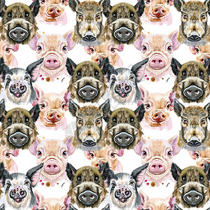 水彩肖像猪和蟒蛇的无缝模式 海报 卡哇伊背景图片