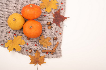 绣球荚蒾南瓜和Mamele在白底灰色面纱上叶子 肉桂和橡树上留有 万圣节 秋天的叶子背景