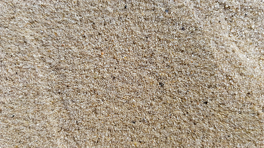 沙滩的顶视图 具有复制空间和可见砂纹理的背景 细沙背景 砂背景海滩高清图片素材