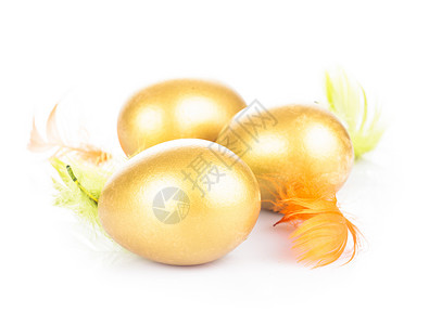 蜂巢中的金蛋 金的 庆典 退休 羽毛 宝藏 礼物背景图片