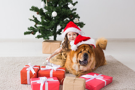 儿童和宠物的概念-可爱的女孩和坐在圣诞树附近的松狮犬 圣诞快乐 节日快乐 幸福 食物朋友高清图片素材