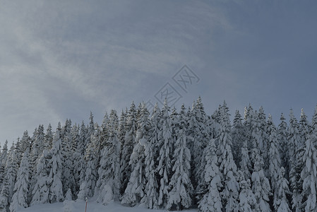冬季山地景观 国家 霜 早晨 季节 云 太阳 高的图片