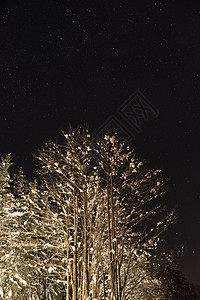 冬季山地景观 霜 降雪 云 晚上 树 蓝色的 阳光季节高清图片素材