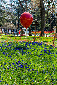 花园装饰多彩气球 夏天 生日 好玩的 美丽的 快乐 反射背景图片