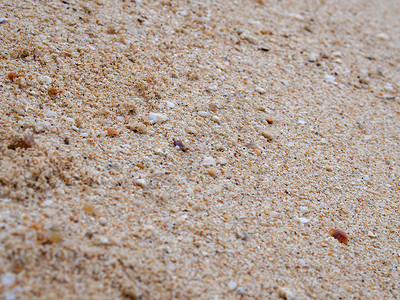 沙地背景纹理 粗沙粒的近距离图片