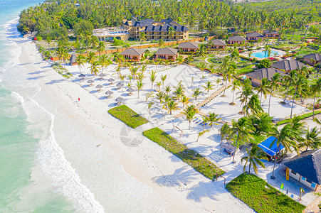 巴尔贝里尼在阳光明媚的日子里 用棕榈树和遮阳伞鸟瞰热带沙滩 在印度洋 桑给巴尔 非洲的暑假 景观与棕榈树 酒店 游泳池 白色沙滩 蔚蓝的大背景