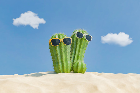 沙滩沙沙上戴墨镜的仙人掌背景图片