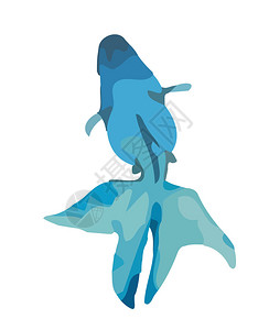 bluefish背景图片