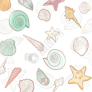 夏日海滩贝壳背景素材图片