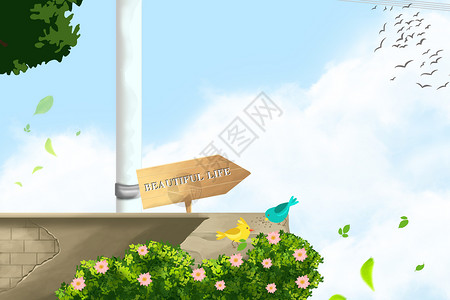 背光和电线杆夏日清新 公园一角风景背景设计图片