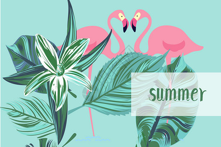 夏日西瓜和树叶夏日背景设计图片