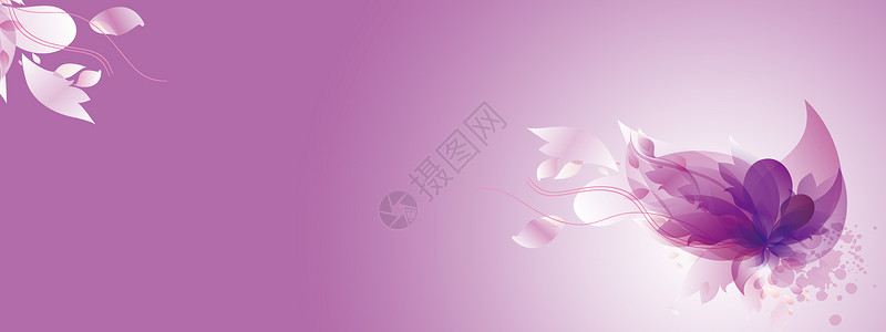 紫色豌豆花唯美清新花瓣背景设计图片