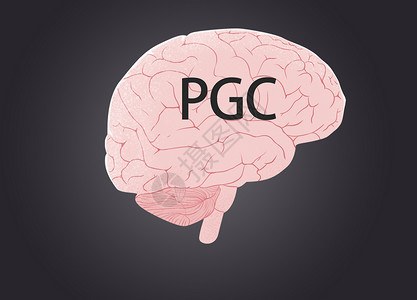 pgc商务创意思考设计图片