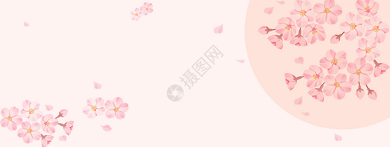 粉嫩花朵分割线花卉背景插画