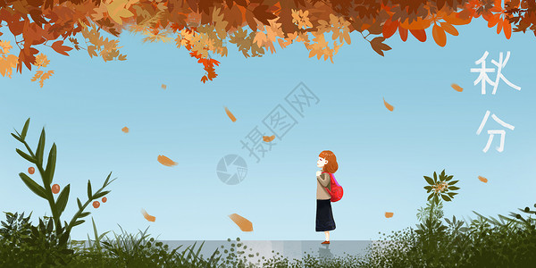 秋分季节插画背景图片
