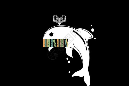 动物矢量插画知识海豚设计图片