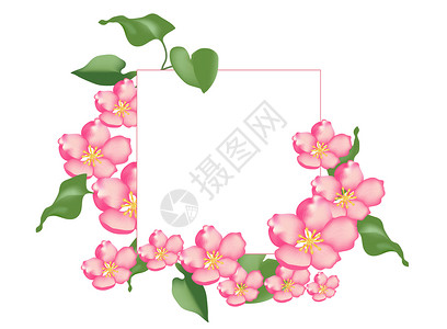 粉色叶片手绘粉色桃花装饰框插画
