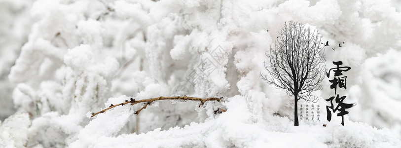 雪果实霜降设计图片