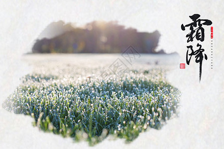 白色草地霜降草丛背景设计图片