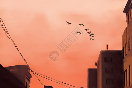 彩绘建筑现代城市中夕阳下的归鸟背景设计图片