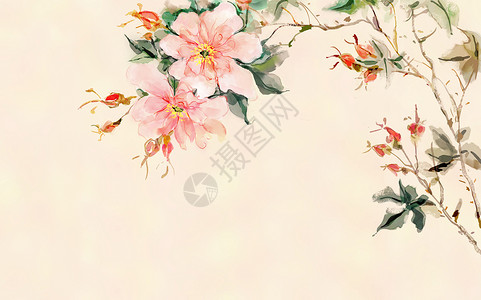 水彩花卉素材中国风花卉背景插画插画