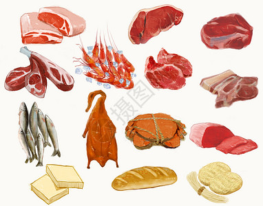 海鲜捕捞肉类禽类插画