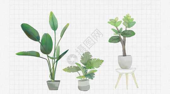 绿色植物和花盆绿色水彩植物盆景插画