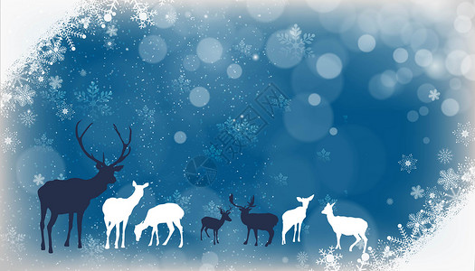 冬天唯美插画圣诞麋鹿插画设计图片