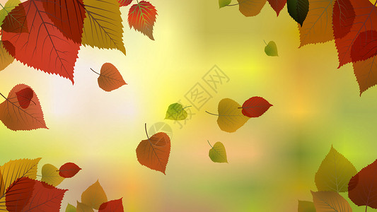 落叶背景背景图片