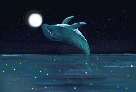 星河中的海豚星空下的海豚插画