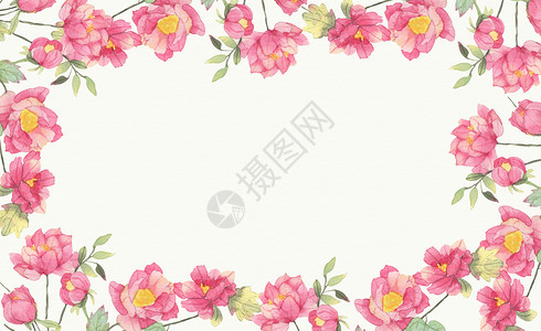 水彩花朵底纹手绘花朵边框插画