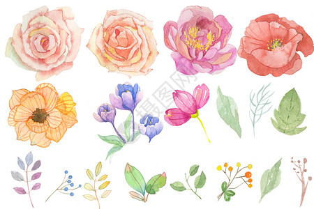 百日宴展板设计水彩花朵背景素材插画