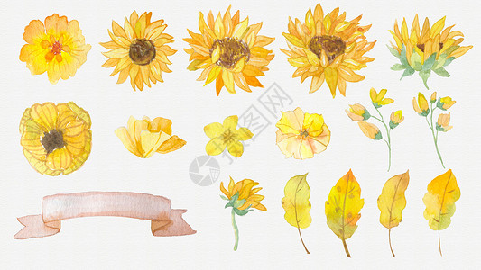 节日宣传展板水彩花朵叶子素材插画